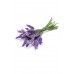 Lavender (Лаванда / Lavandula angustifolia), эфирное масло, 15 мл