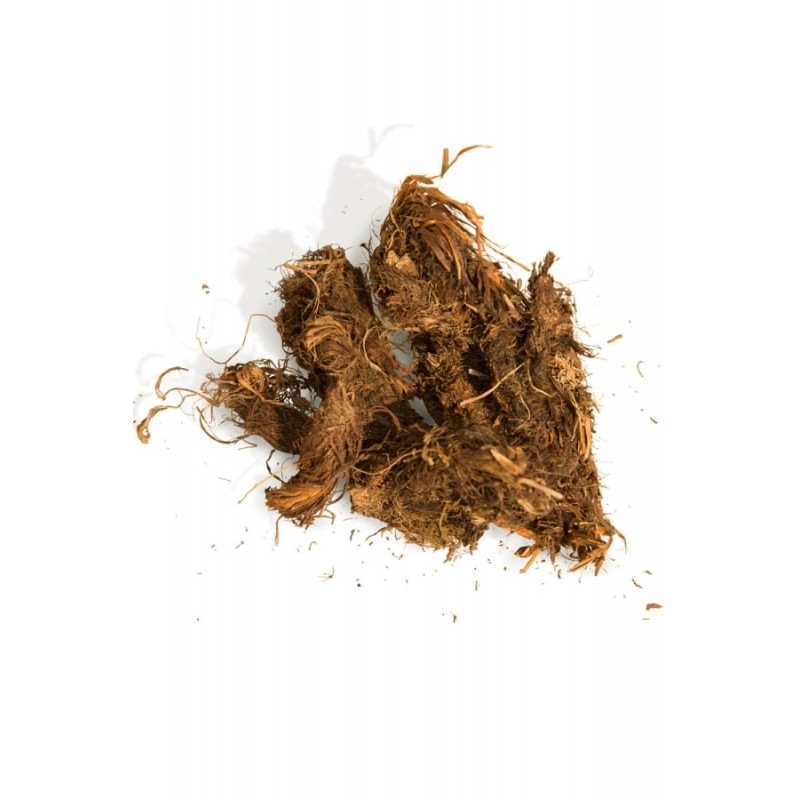 Spikenard (Нард), эфирное масло, 5 мл - купить в интернет-магазине!